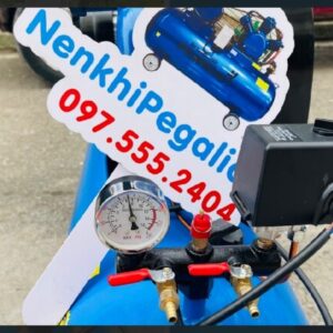 Đường khí ra vào máy nén khí Pegalion