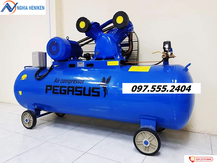Máy nén khí dây đai Pegasus model TM-V-0.25/8-120L