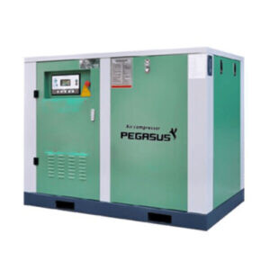 May Nen Khi Truc Vit Bien Tan Pegalion 37kw Tmbt 50hp