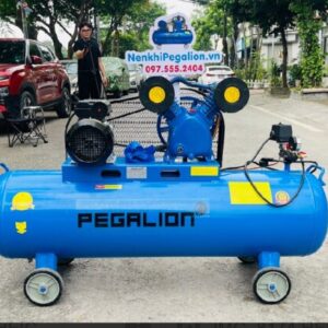 May Nen Khi 120l Pegalion Nghiaheniken