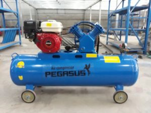 Máy nén khí đầu nổ chạy bằng xăng Pegasus TM-V-0.25/8-100L